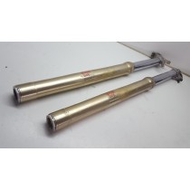 Yamaha YZ450F 2005 Front Forks #TES